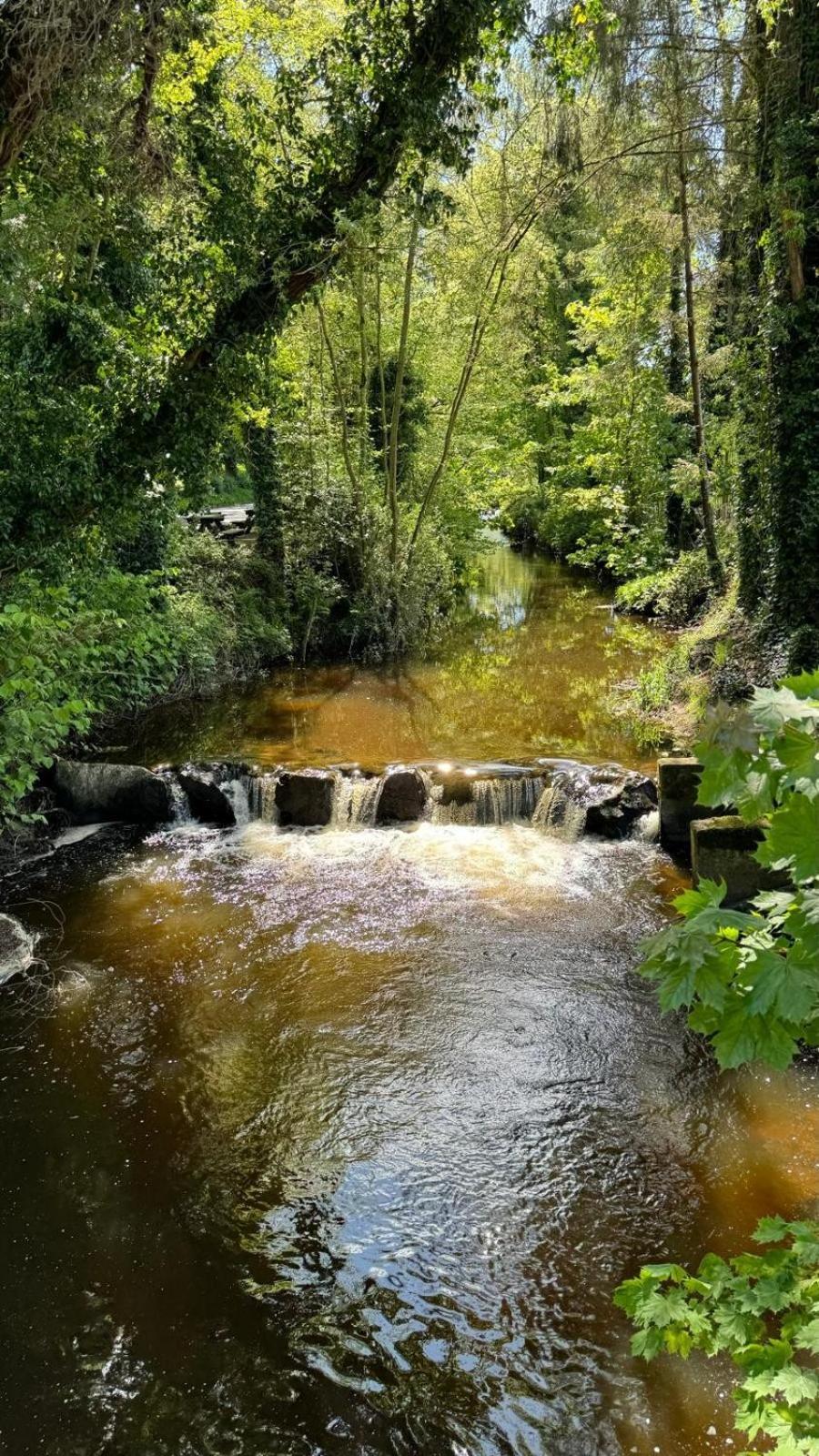 Basil Sheils * Armagh